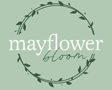 Mayflower bloom